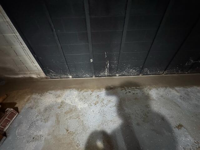 Seamless Integration with the Basement Floor