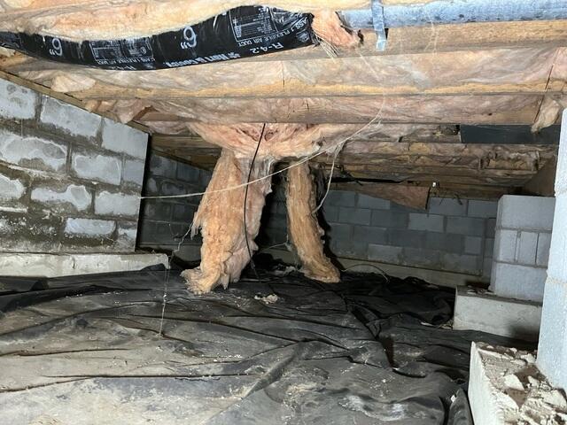 Musty Crawl Space in Nicholasville, KY