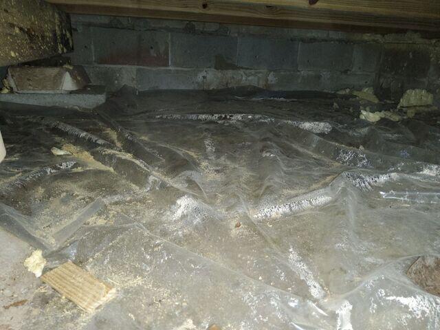Damp Crawl Space