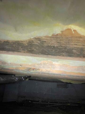Wood moisture