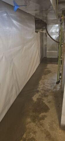 WaterGuard Drainage System