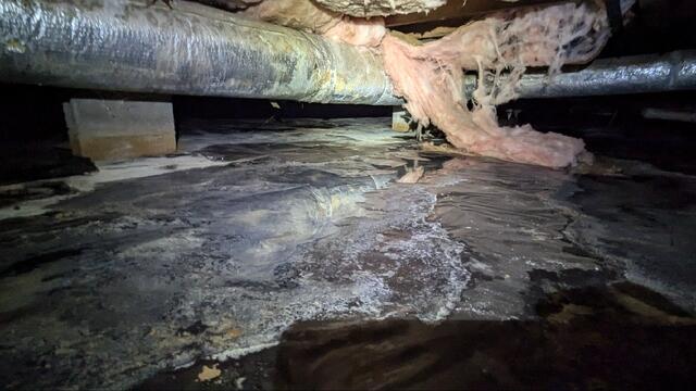 Nasty, debris filled crawl space