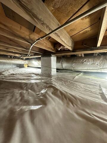 CleanSpace