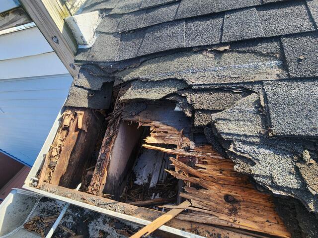 So Much Damage