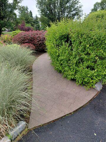 Walkway after cleaning