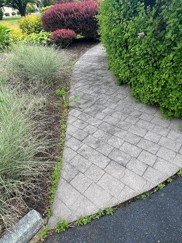Walkway before cleaning