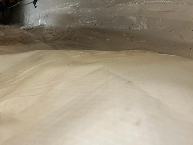 CleanSpace Liner