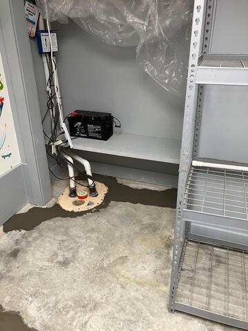 Sump Pump Features