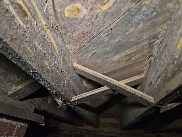 Moldy and Rotted Crawl Space Wood