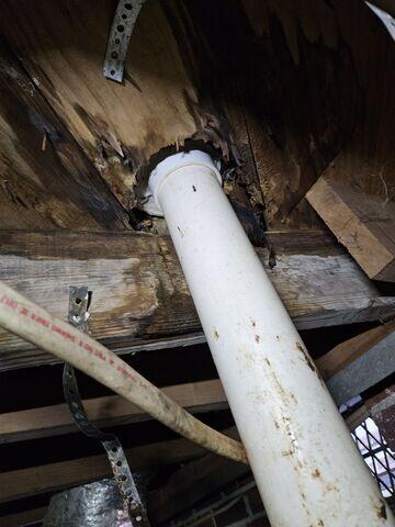 Wet Crawl Space wood