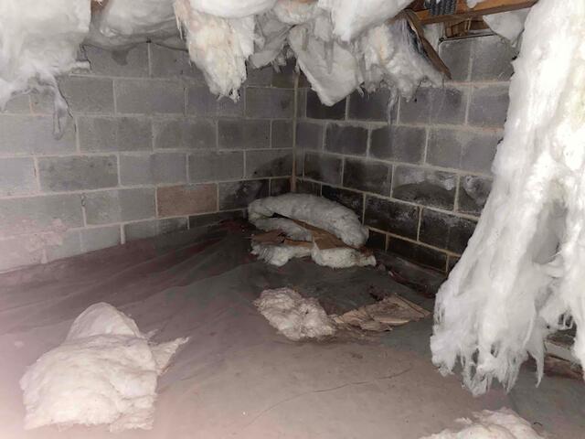 Crawl Space