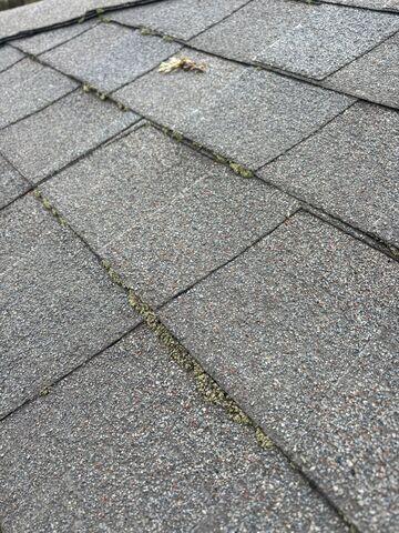 Old Shingles in Fort Thomas, KY