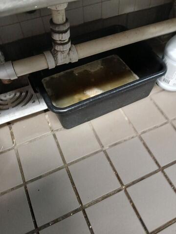 More Sanitation Issues