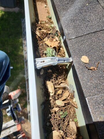 Gutter with debris.