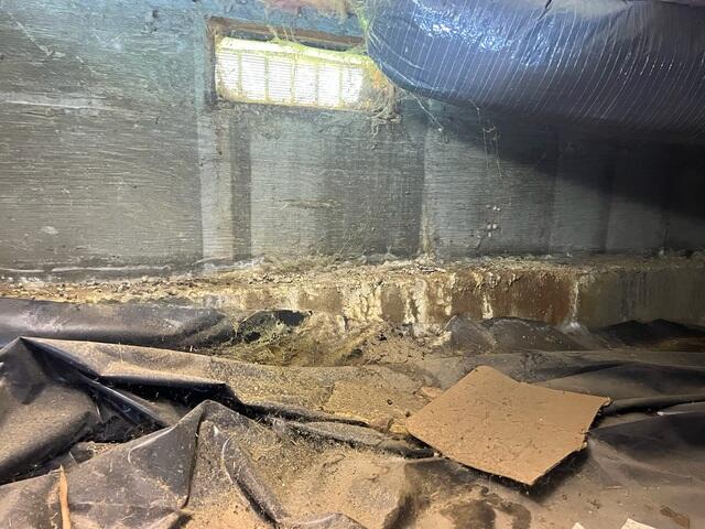Crawl Space Before CleanSpace