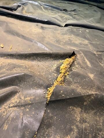 Old Vapor Barrier