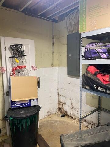 Basement During Inspection