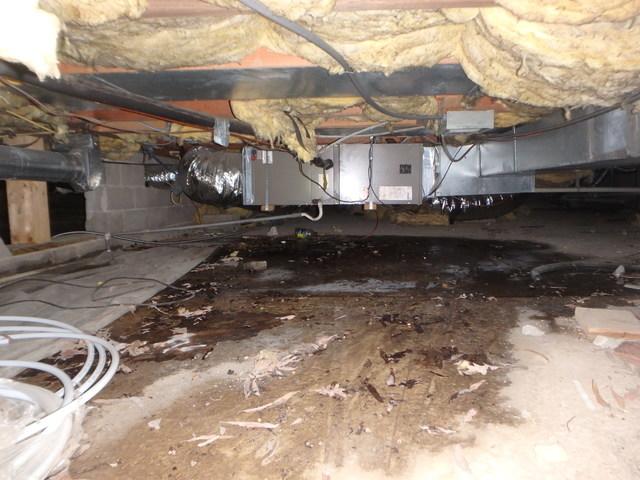 This photo captures the homeowner's vented crawl space with a dirt floor. What a mess!