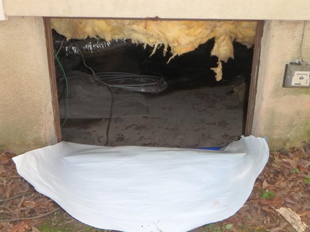 This photo captures another angle of the sagging insulation in the crawl space. 