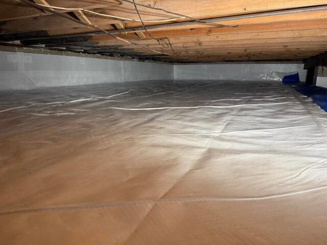CleanSpace