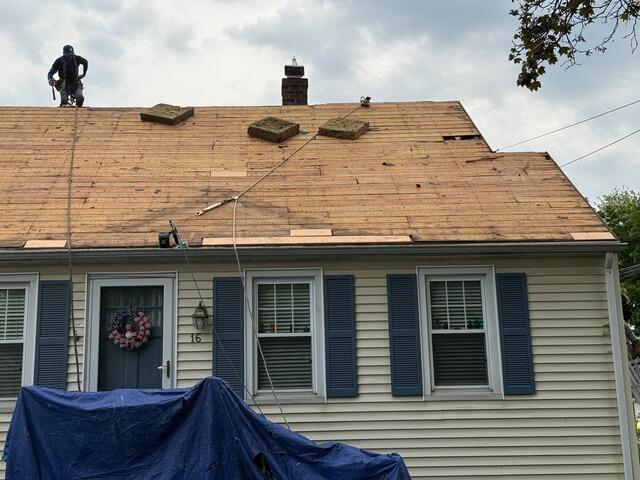 Bad Plywood Is Removed & Replaced