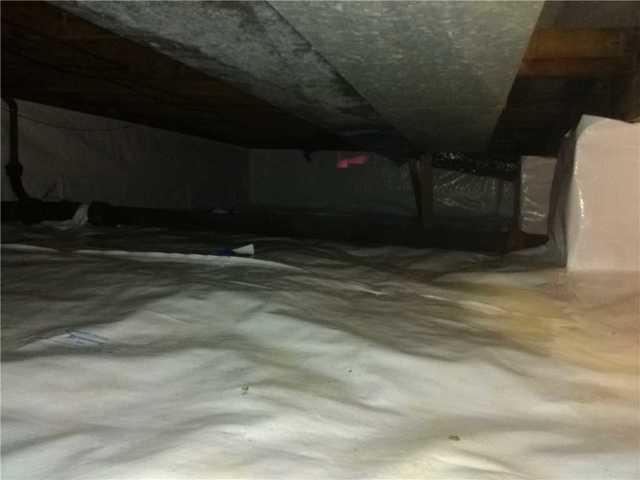 <p>This crawl space will now stay dry with CleanSpace vapor barrier! CleanSpace is mold resistant, so it will stay healthy and safe.</p>