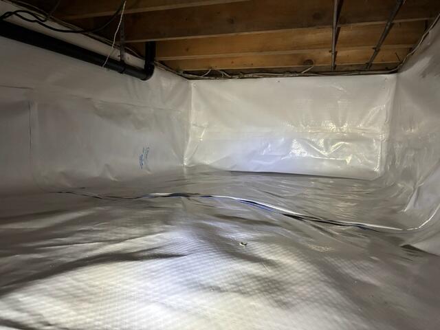 CleanSpace