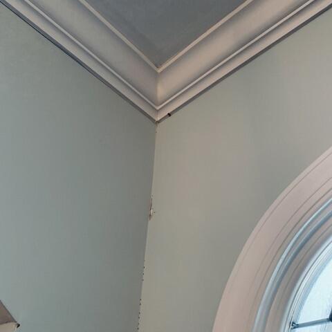 Both Versions Are Effective