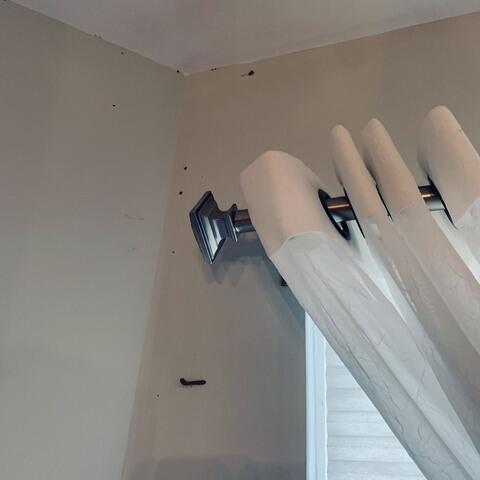 Coming from the Sheetrock