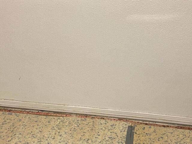 Water Damaged Basement