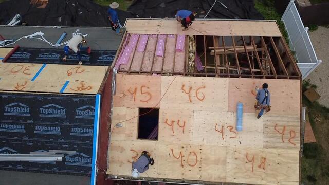 Fresh New Plywood