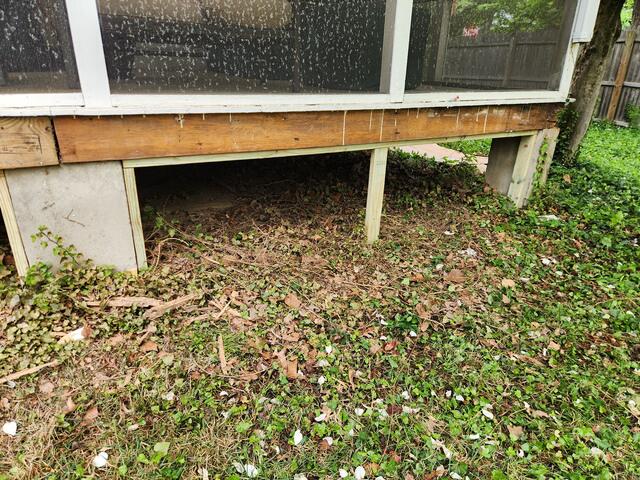 Groundhogs Can Enter