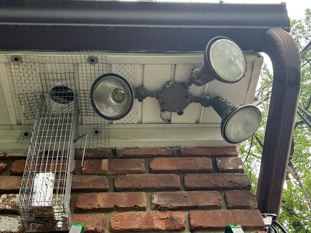 Set Up for Squirrel Retrieval