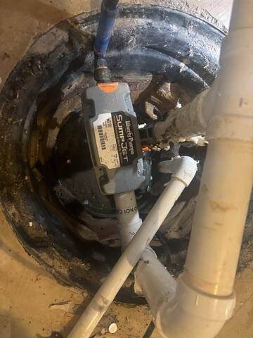 Old Sump Pump