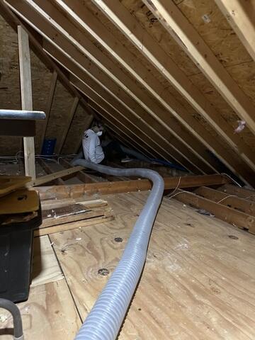 Attic Extraction Time!