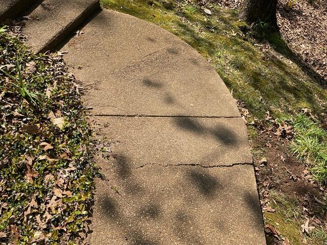 Cracked Sidewalk