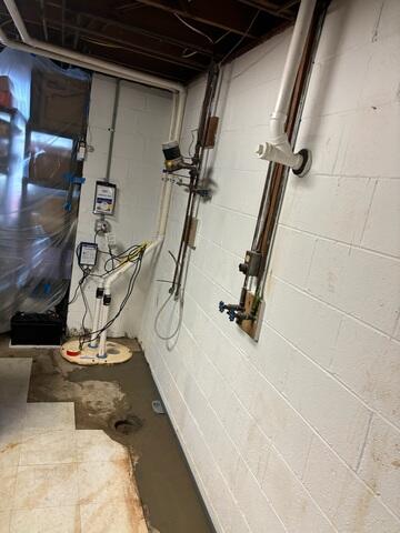 TripleSafe Sump Pump System