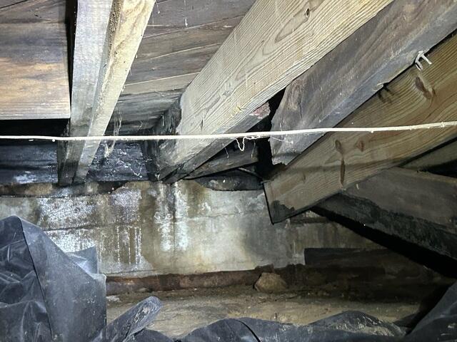 Wet wood and Broken Joists