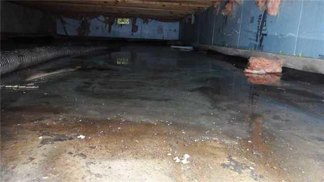 Standing Water Leads to Gross Crawl Space