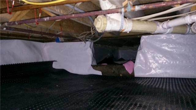 Drainage Matting is Installed Before CleanSpace Vapor Barrier