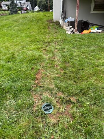 Discharge Line
