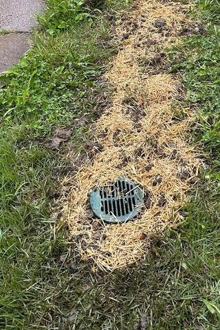 Drainage Line