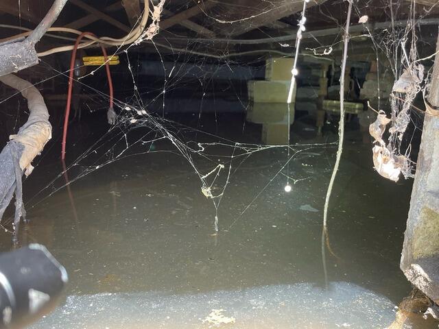 Wet Crawlspace