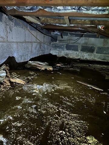 Damp Crawl Space