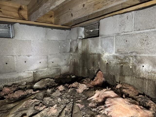 A Nasty Crawl Space