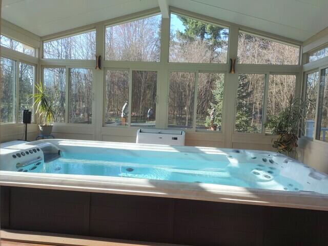 Swim Spa