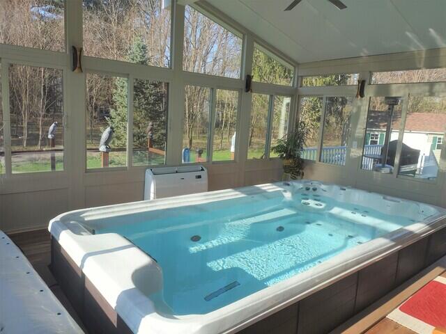 Swim Spa