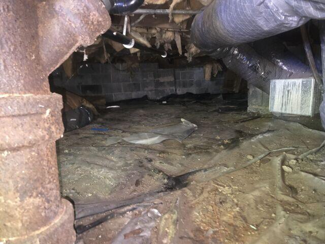 Crawl Space