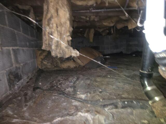 Damp Crawl Space