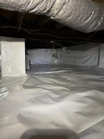 CleanSpace